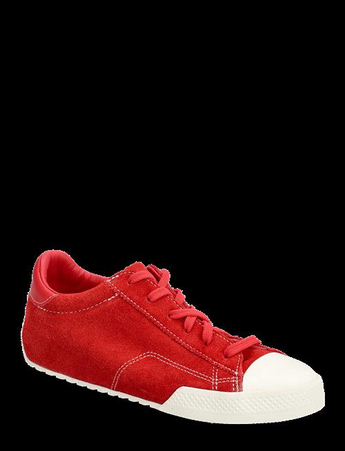 Converse | Chuck Taylor Lo | 35.5