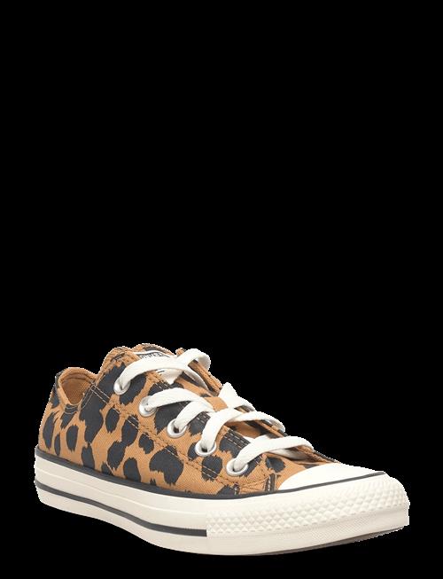 Converse | Chuck Taylor All Star | 37