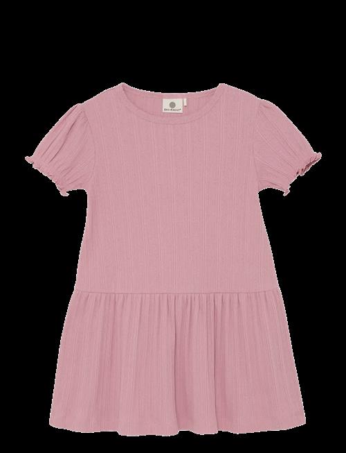 En Fant | Dress Ss Pointelle | 122