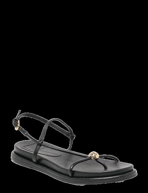 Dolce Vita | Deane | 37