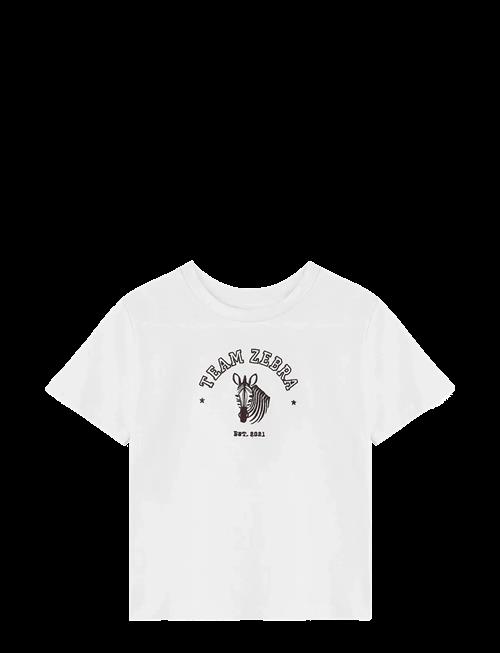 Fliink | Sommer Zebra T-Shirt | 80