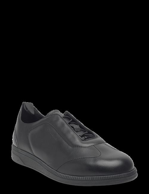 Santoni | Lume-D | 44-44.5