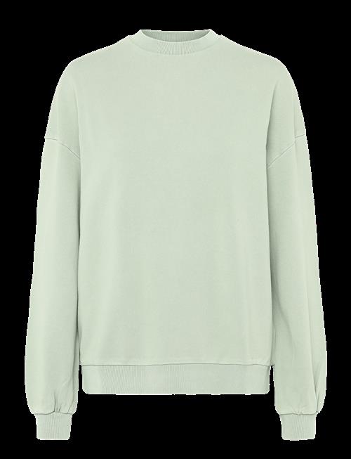Lexington Clothing | Patricia Washed Sweatshirt | XS