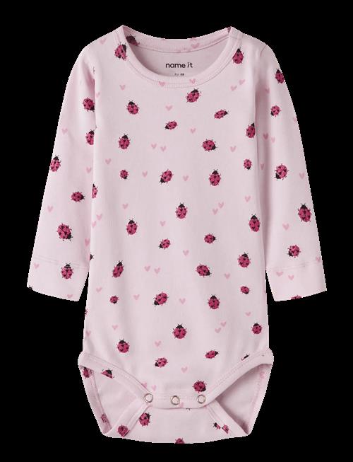name it | Nbfhaline Ls Xsl Body | 50
