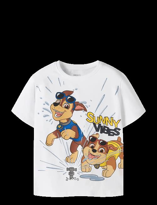 name it | Nmmmacas Paw Ss Nreg Top Cplg | 116