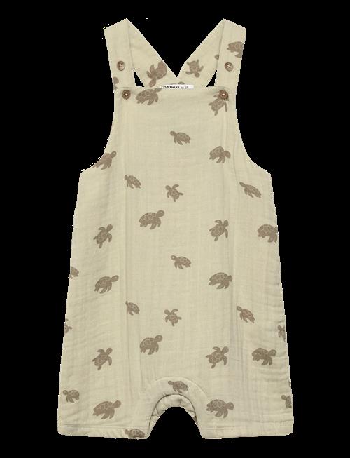 name it | Nbmjeremy Short Overall | 50