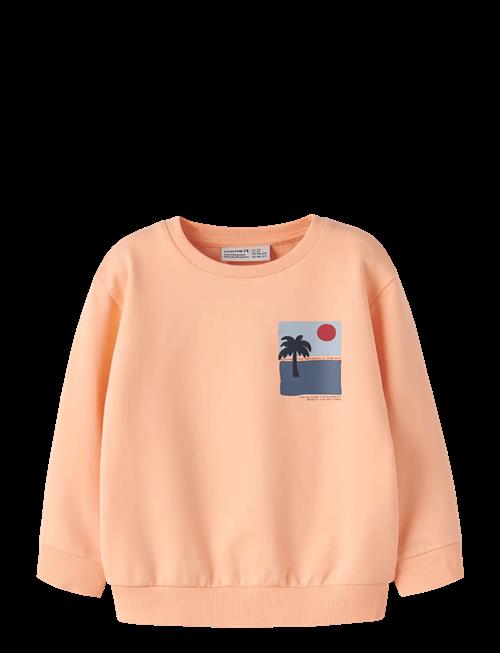 name it | Nmmjale Nreg Sweat Unb | 98