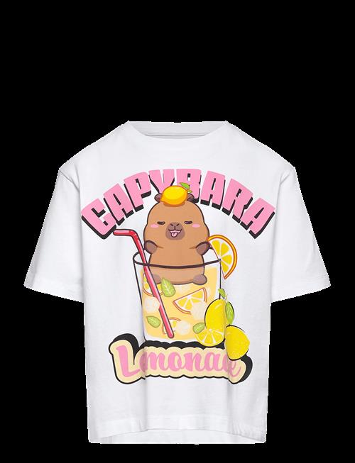 name it | Nkfabina Capybara Ss Nreg Top Lnoos Sky | 110