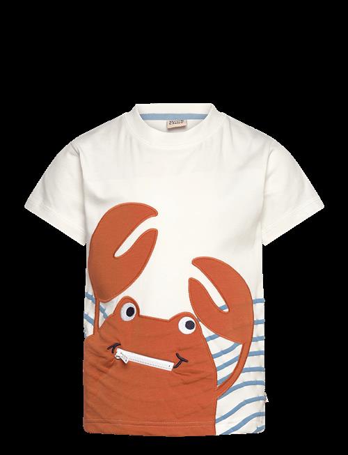 Hust & Claire | Hcanton Crab | 86