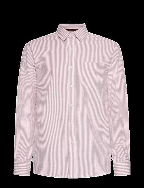 SIGNAL | Scottsi Oxford + | XL