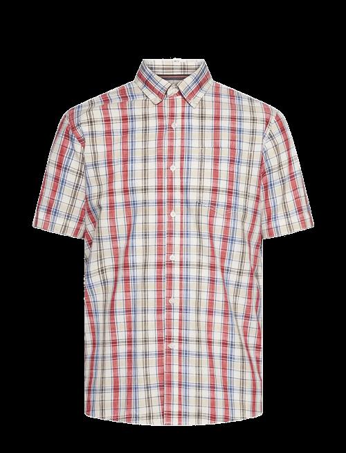 SIGNAL | Giansi Slub Check Ss | XL