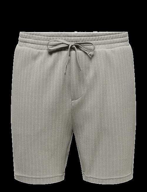 ONLY & SONS | Onstrey Life Reg Frml Shorts | S