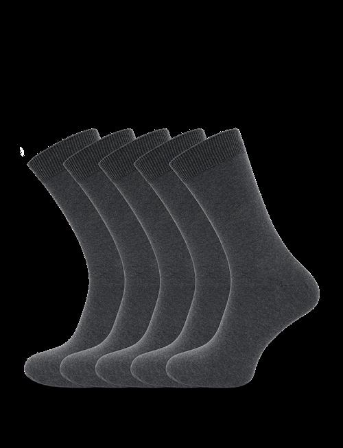 Shine Original | Solid 5 Pack Socks | 40-47