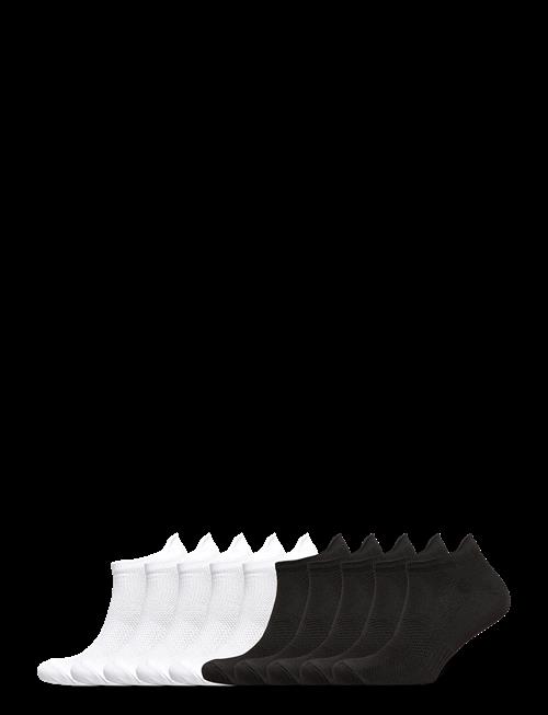 Shine Original | Low Cut Sport Socks 10 Pack | 40-47