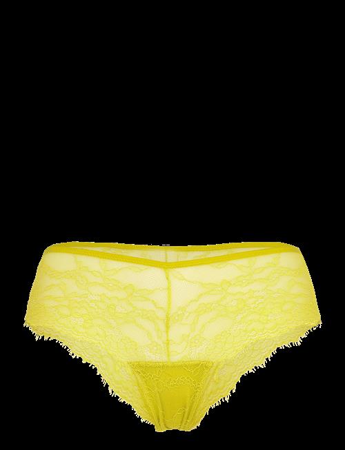 Understatement Underwear | Lace Hipster | M