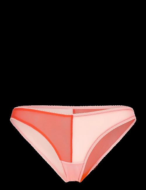 Understatement Underwear | Mesh Two-Tone Bikini Brief | L