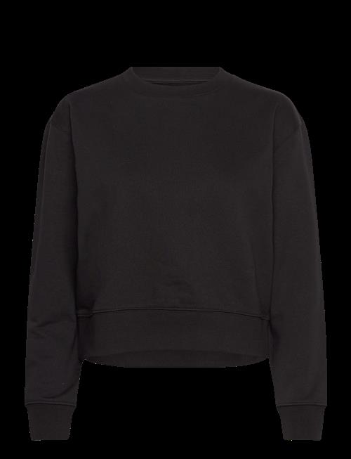 Organic Basics | Weekend Crop Crewneck | L