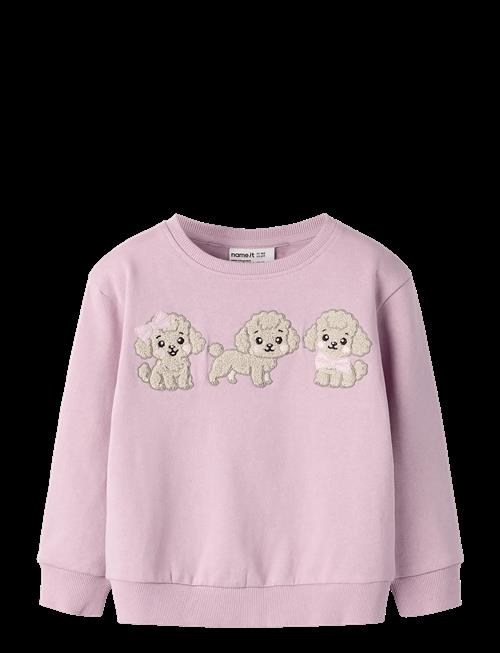 name it | Nmfdyveke Ls Nreg Swe Bru | 92