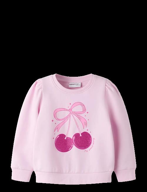 name it | Nmffinna Ls Swe Bru | 80