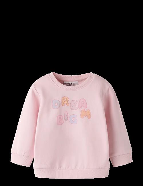name it | Nbfdelia Ls Swe Bru | 68