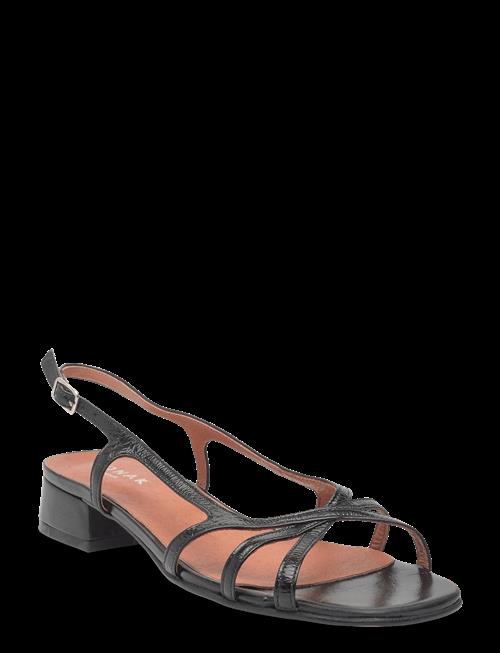 Jonak Paris | 225-Argos Cuir Brillant | 36