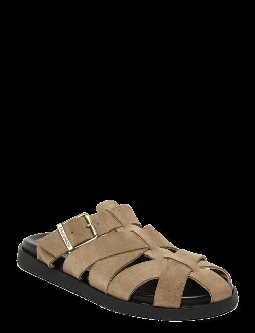 Steve Madden | Mamba | 37