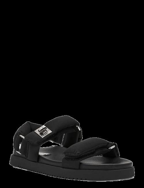 Steve Madden | Monat | 40