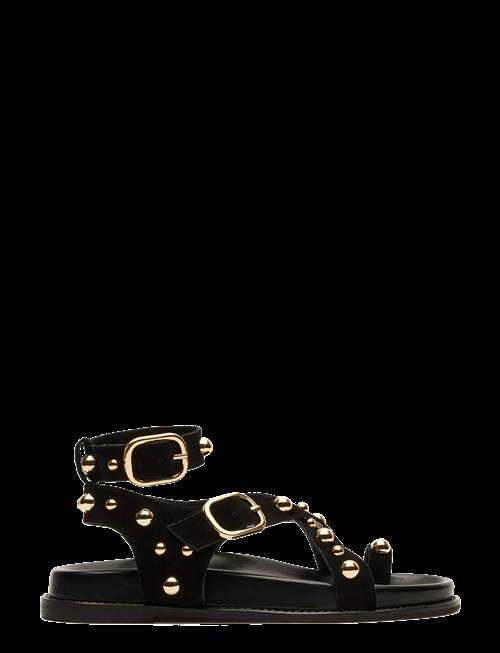 Steve Madden | Linear | 40