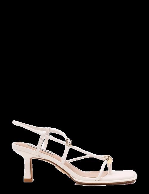 Steve Madden | Jackpots-E | 40