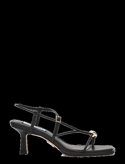 Steve Madden | Jackpots-E | 42