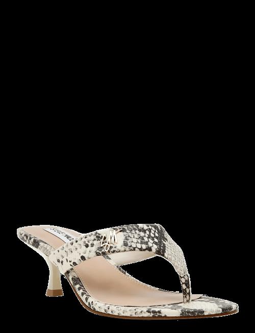 Steve Madden | Soundview | 39
