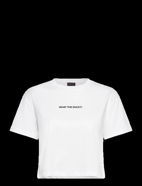 Save the Duck | Ada | M