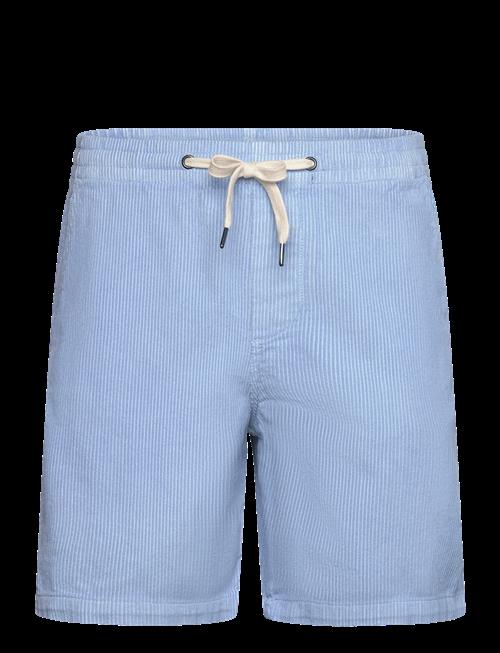 Lindbergh | Corduroy Shorts | XL