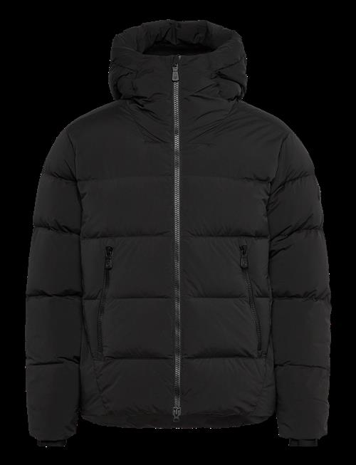 Sail Racing | Cloud Down Stretch Hood | L