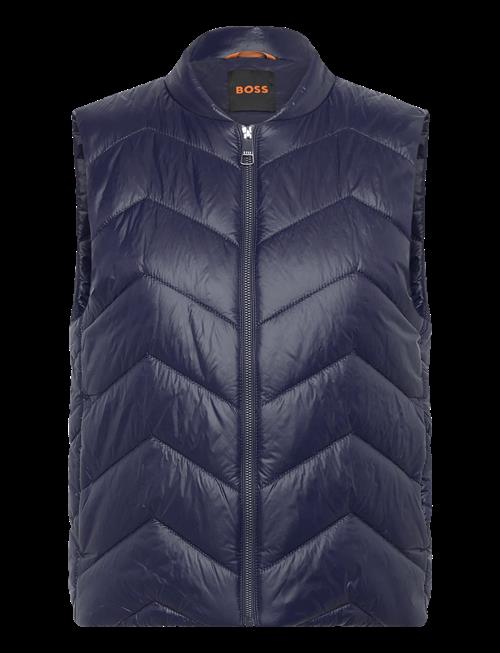 BOSS | C_Palattini | 42