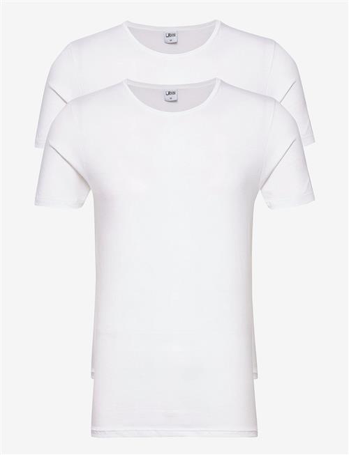 JBS | Jbs 2-Pack T-Shirt O-Neck Gots | L