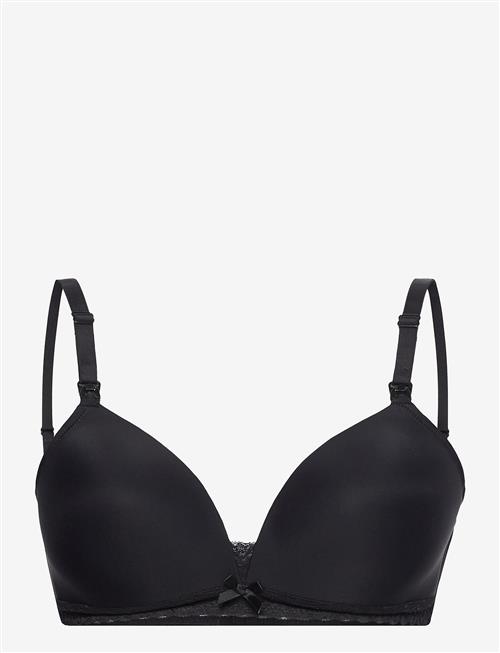 Dorina | Light Padded May Soft Nursing Bra | E x 80