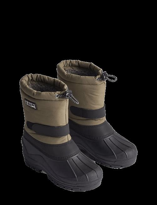 Molo | Driven | 31