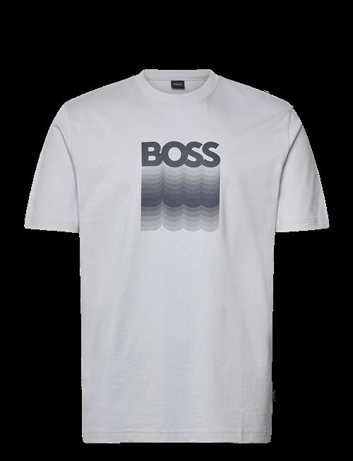 BOSS | Te_Insignia | S