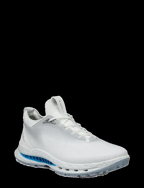 Se ECCO | M Golf Biom C5 | 41 hos Booztlet