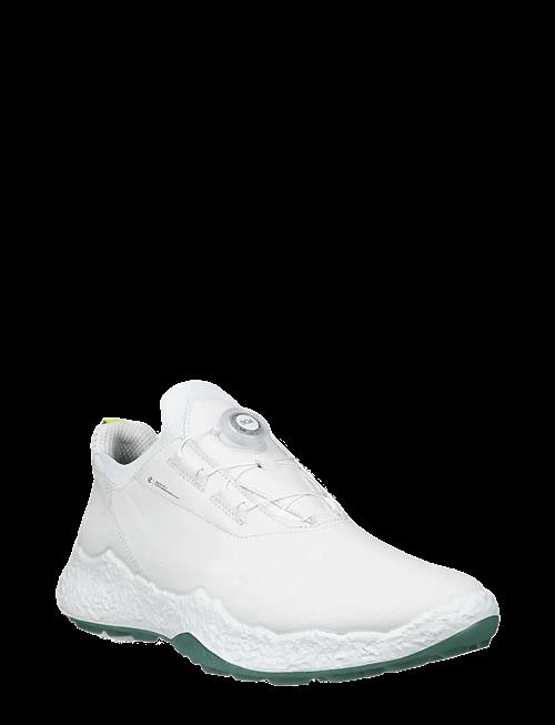 ECCO | M Golf Biom H5 | 44