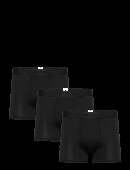 Knowledge Cotton Apparel | 3 Pack Boxer Briefs | XXL
