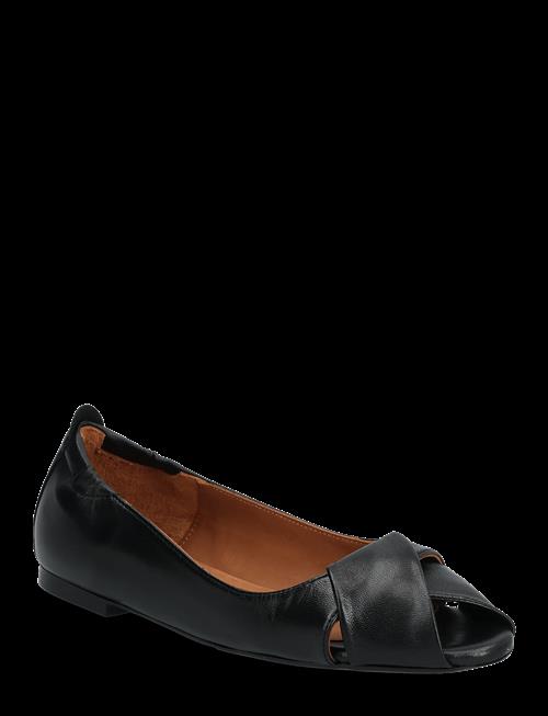 Billi Bi | Ballerina | 39
