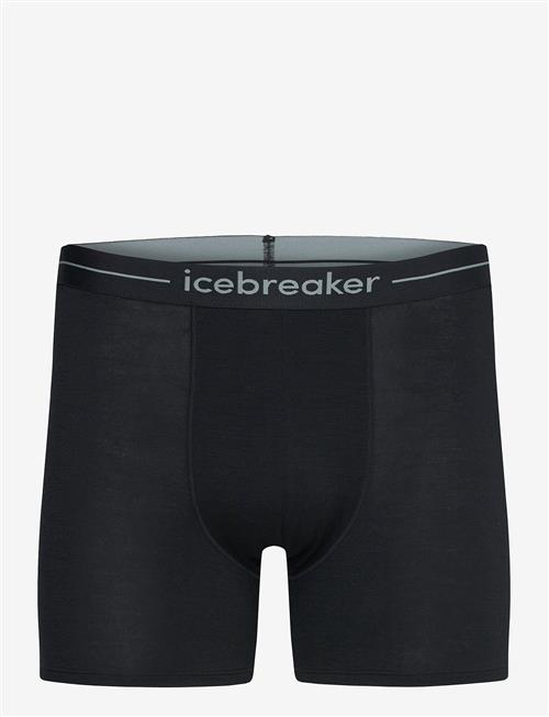 Icebreaker | M Anatomica Boxers | XL