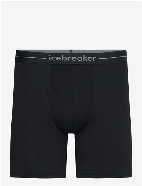 Icebreaker | Men Merino 150 Anatomica Long Boxers | S