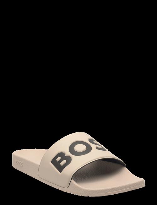 BOSS | Aryeh_Slid_Npvlg | 45
