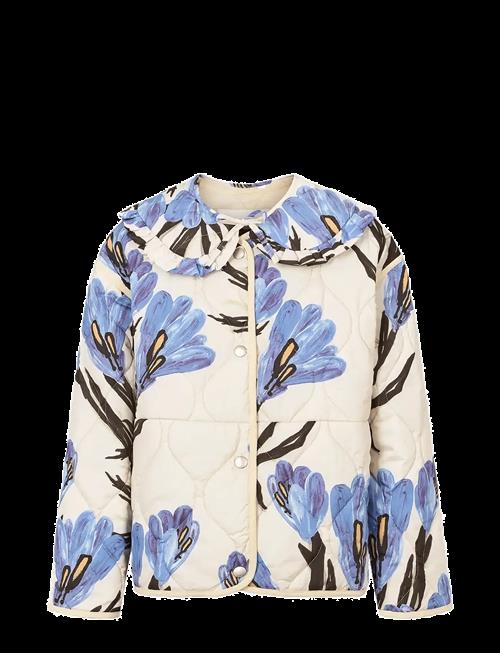 Molo | Hailey | 152