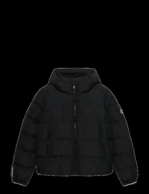 Superdry | Hooded Sports Puffer Jacket | 12