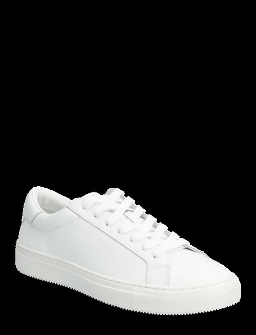 Matinique | Maeaton | 40