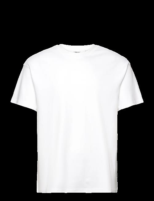 Solid | Sddanton | XXL